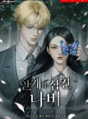 A Butterfly Through the Mist