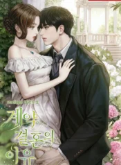 Reasons for Contract Marriage